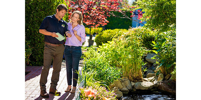 Monster Tree Service Slider-2