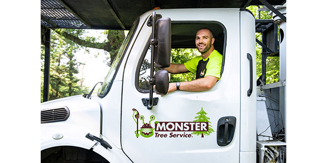 Monster Tree Service Slider-6