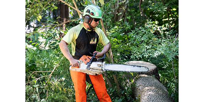 Monster Tree Service Slider-3