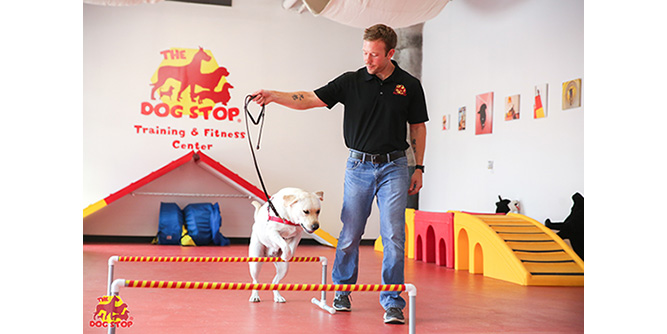 The Dog Stop Slider-3