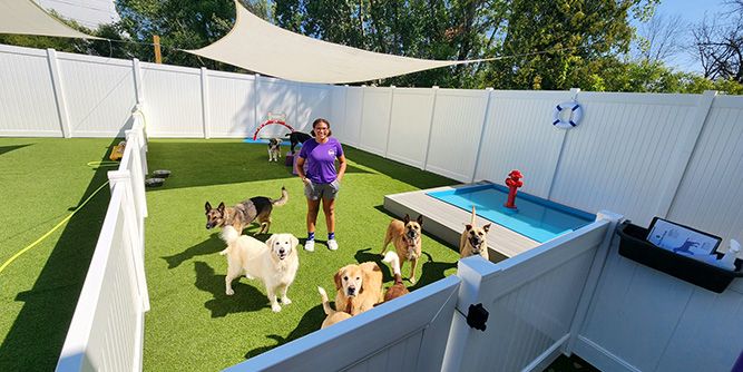 Central Bark Slider-3