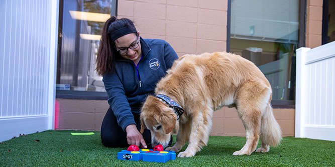 Central Bark Slider-4