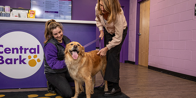 Central Bark Slider-5