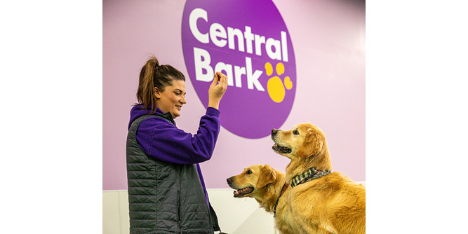 Central Bark Slider-7