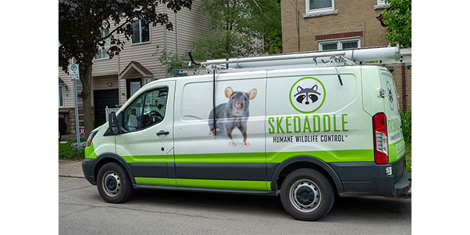 Skedaddle Humane Wildlife Control Slider-4