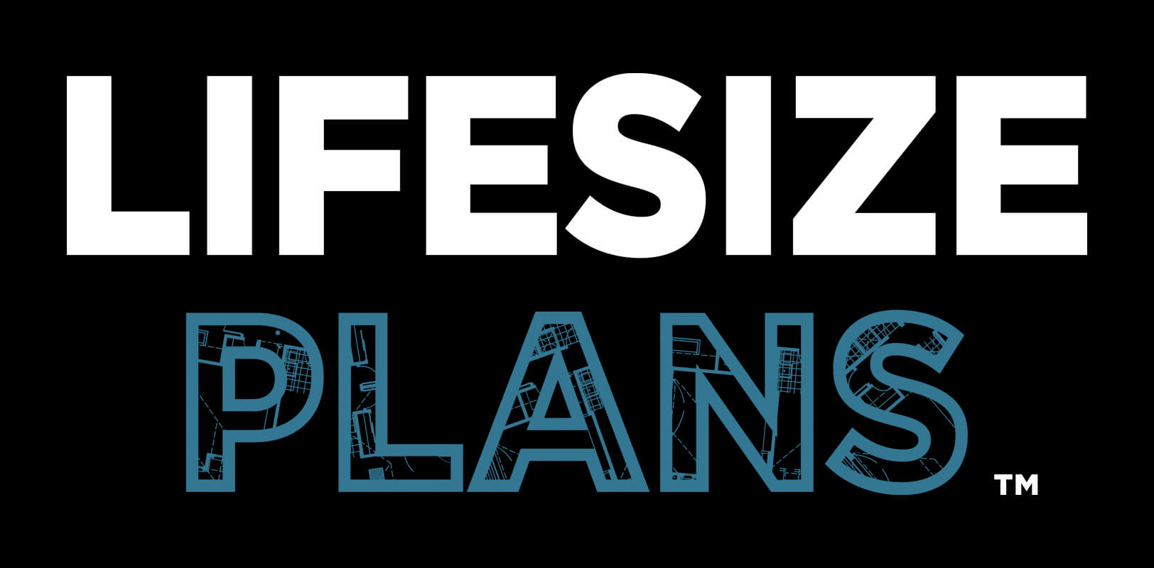 Lifesize Plans Logo Lifesize Plans