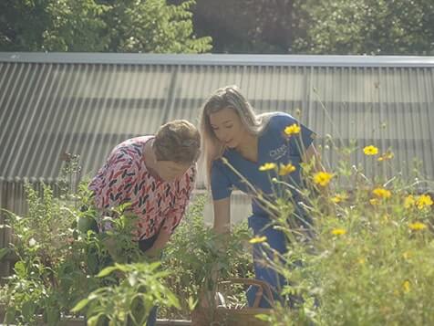 Cerna Homecare Cerna Homecare Slider 2