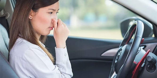 U Got Stink? Slider-3