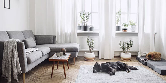 U Got Stink? Slider-4