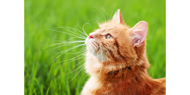 U Got Stink? Slider-6