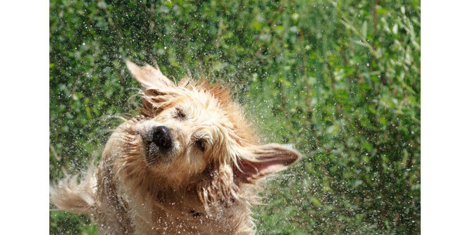 U Got Stink? Slider-8