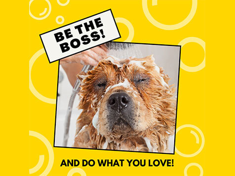 Well Groomed Franchise System Inc. Well Groomed Franchise System Inc. Slider 1