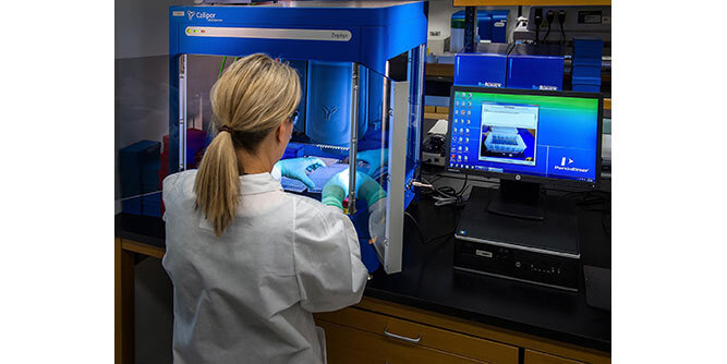 i4 Search Group Slider-4