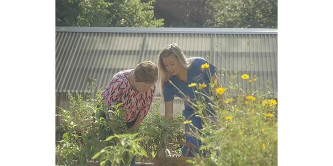 Cerna Homecare Slider-3