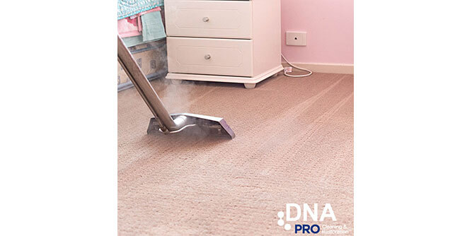 DNA Pro Cleaning & Restoration Slider-6