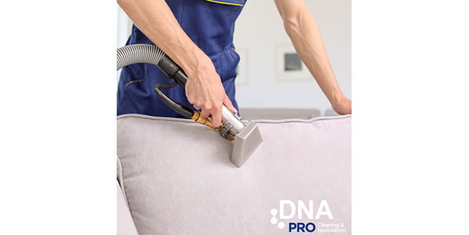 DNA Pro Cleaning & Restoration Slider-4