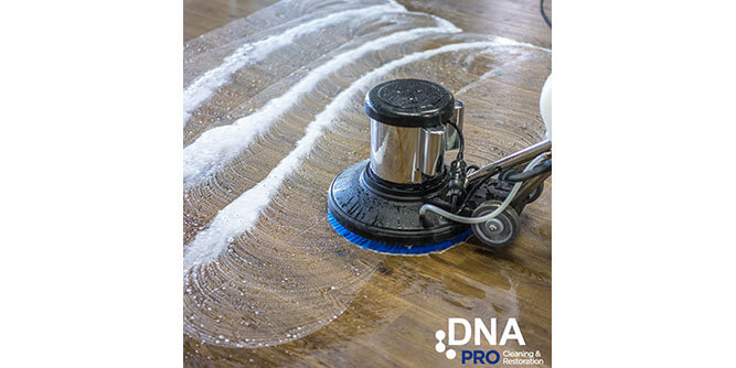 DNA Pro Cleaning & Restoration Slider-5