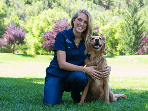 Dog Training Elite Dog Training Elite Slider 1