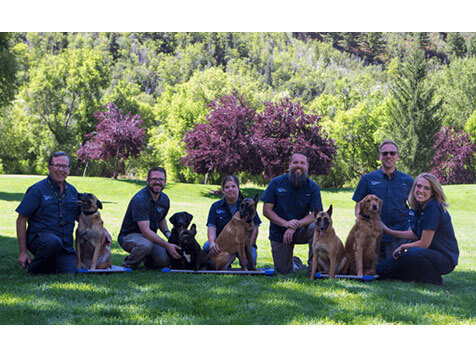 Dog Training Elite Dog Training Elite Slider 4