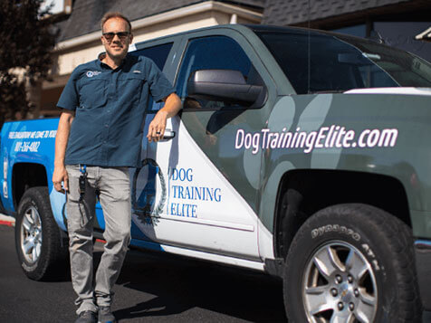 Dog Training Elite Dog Training Elite Slider 6