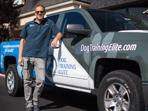 Dog Training Elite