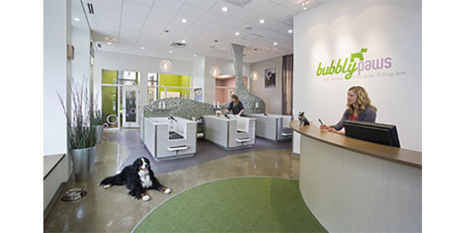 Bubbly Paws Slider-10