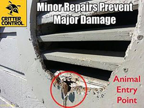 Critter Control Critter Control Slider 5