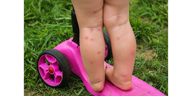 Mosquito Sheriff Slider-4