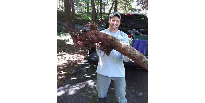 Leafs of Three Slider-2