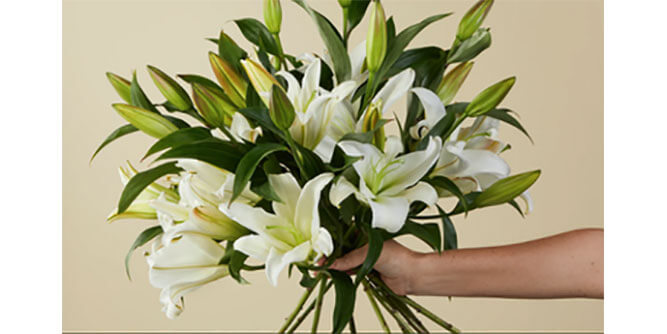 Flagler Floral Slider-2