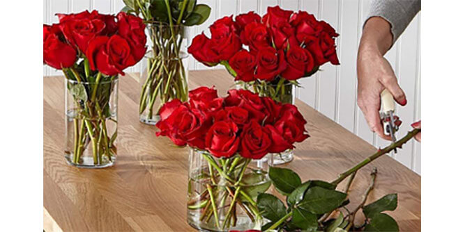 Flagler Floral Slider-7