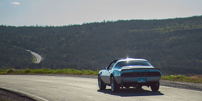 Expertly Sanitized Slider-4