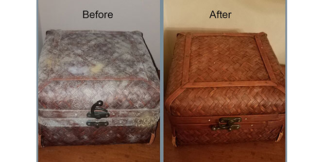 Dove Services - Mold Remediation Slider-3