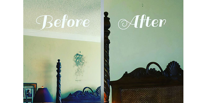 Dove Services - Mold Remediation Slider-4