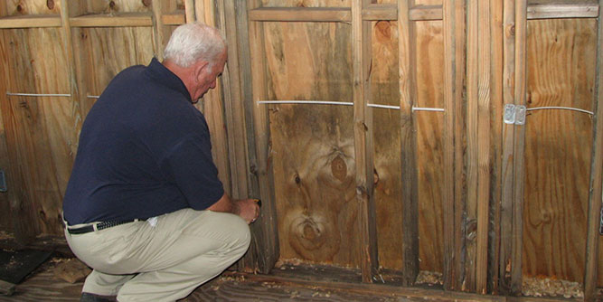 Dove Services - Mold Remediation Slider-6