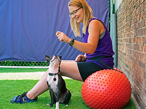 Central Bark Central Bark Slider 5