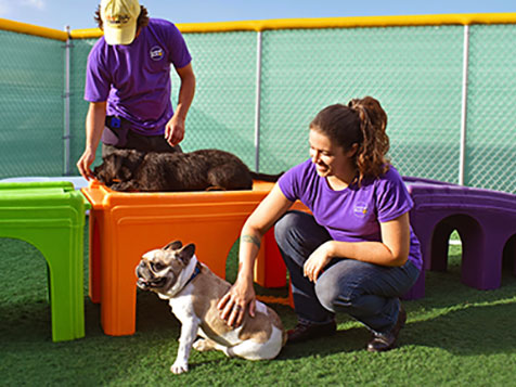 Central Bark Central Bark Slider 1