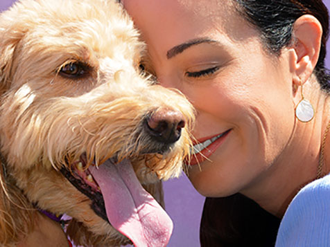 Central Bark Central Bark Slider 2