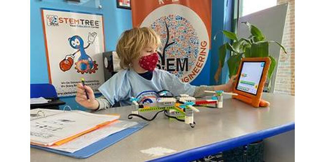 STEMTREE Slider-4