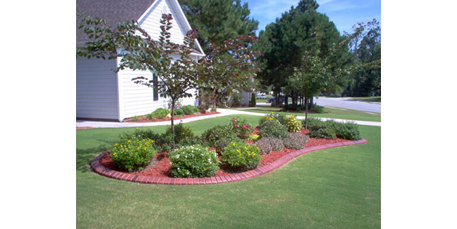 Border Magic Slider-2