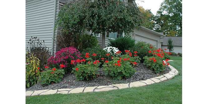 Border Magic Slider-4