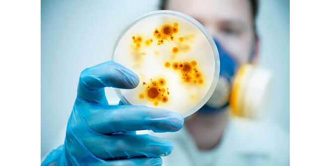 Renew Restoration Slider-5