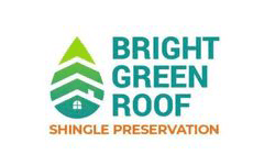 Bright Green Roof