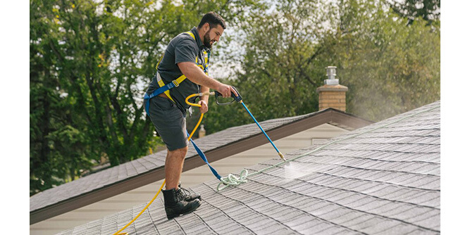 Bright Green Roof Slider-3