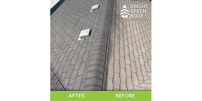 Bright Green Roof Slider-7