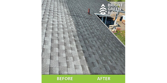 Bright Green Roof Slider-5