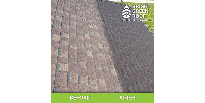 Bright Green Roof Slider-6