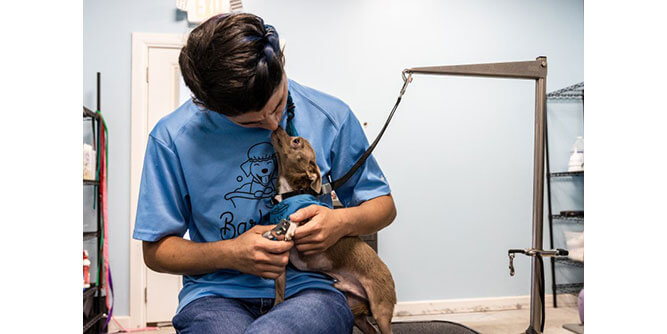 BarkSuds - Membership Dog Salon Slider-7