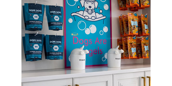 BarkSuds - Membership Dog Salon Slider-8