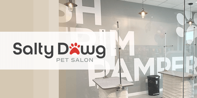 Illustration of Low-Cost Pet Grooming Services Near Me